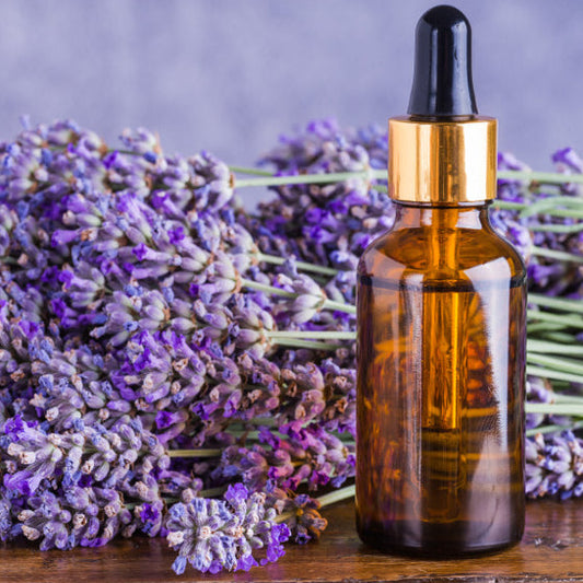 Pack E-Learning : 2 formations "Praticien + Maître-Praticien en Aromathérapie Traditionnelle"